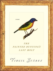 The Painted Bunting's Last Molt : Poems, Paperback / softback Book The Painted Bunting's Last Molt : Poems, Paperback / softback Book