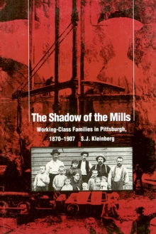 The Shadow Of The Mills : Working-Class Families in Pittsburgh, 1870-1907