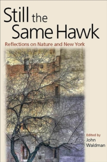 Still the Same Hawk : Reflections on Nature and New York