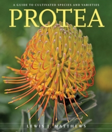 Protea : A Guide to Cultivated Species and Varieties, Paperback / softback Book Protea : A Guide to Cultivated Species and Varieties, Paperback / softback Book