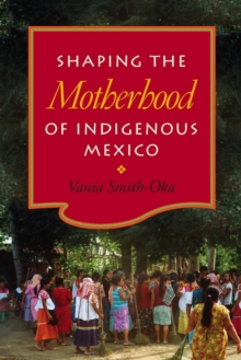 Shaping The Motherhood Of Indigenous Mexico