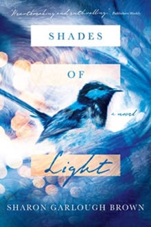 Shades of Light : A Novel, Paperback / softback Book Shades of Light : A Novel, Paperback / softback Book