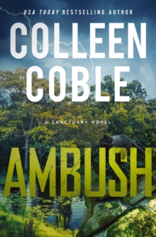 Ambush : A Small-Town Romantic Suspense