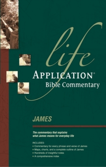 James : Lab Comm, Paperback / softback Book James : Lab Comm, Paperback / softback Book