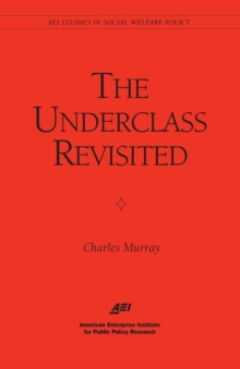 The Underclass Revisited