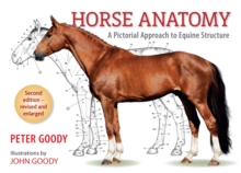 Horse Anatomy : A Pictorial Approach to Equine Structure, Paperback Book Horse Anatomy : A Pictorial Approach to Equine Structure, Paperback Book