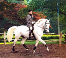 Dressage Principles Illuminated, Hardback Book Dressage Principles Illuminated, Hardback Book