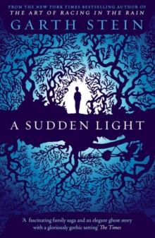 A Sudden Light, Paperback / softback Book A Sudden Light, Paperback / softback Book