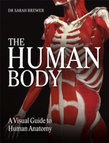 The Human Body : A Visual Guide to Human Anatomy, Hardback Book The Human Body : A Visual Guide to Human Anatomy, Hardback Book