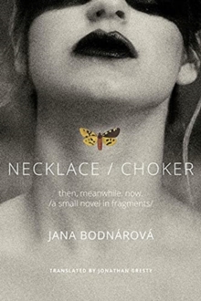 Necklace/Choker : then, meanwhile, now./a small novel in fragments/