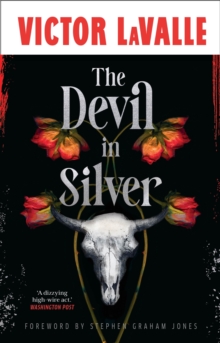 Transworld Publishers Ltd The Devil In Silver
