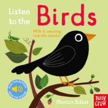 Listen to the Birds, Board book Book Listen to the Birds, Board book Book