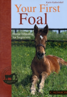 Your First Foal : Horse Breeding for Beginners, Paperback Book Your First Foal : Horse Breeding for Beginners, Paperback Book