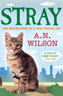 Stray, Paperback Book Stray, Paperback Book