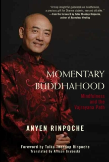 Momentary Buddhahood : Mindfulness and the Vajrayana Path