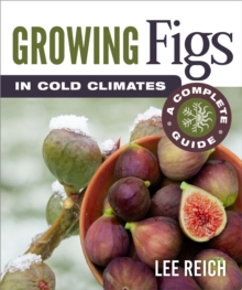 Growing Figs in Cold Climates : A Complete Guide