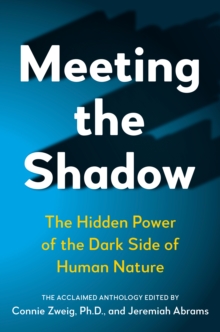 Meeting the Shadow : The Hidden Power of the Dark Side of Human Nature