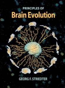 Brain Evolution, Paperback Book Brain Evolution, Paperback Book