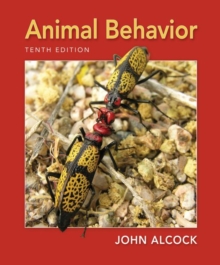 Animal Behavior : An Evolutionary Approach, Paperback Book Animal Behavior : An Evolutionary Approach, Paperback Book