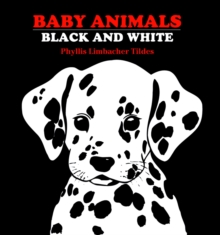 Baby Animals Black And White, Board book Book Baby Animals Black And White, Board book Book