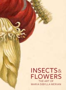 Insects and Flowers  The Art of Maria Sibylla Merian