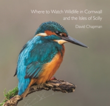 Wild Food Foraging in Cornwall and the Isles of Scilly, Paperback Book Wild Food Foraging in Cornwall and the Isles of Scilly, Paperback Book