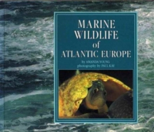 Marine Wildlife of Atlantic Europe, Paperback Book Marine Wildlife of Atlantic Europe, Paperback Book