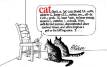 Cat, Paperback / softback Book Cat, Paperback / softback Book