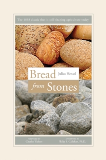 Bread from Stones, Paperback / softback Book Bread from Stones, Paperback / softback Book