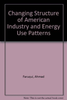 The Changing Structure Of American Industry And Energy Use Patterns : Issues, Scenarios, And Forecasting Models, Hardback Book The Changing Structure Of American Industry And Energy Use Patterns : Issues, Scenarios, And Forecasting Models, Hardback Book