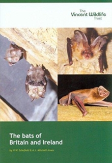 The Bats of Britain and Ireland, Paperback / softback Book The Bats of Britain and Ireland, Paperback / softback Book