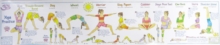 Yoga Practice Wall Chart, Wallchart Book Yoga Practice Wall Chart, Wallchart Book