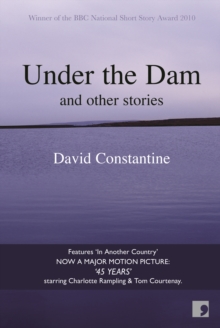 Under the Dam, Paperback Book Under the Dam, Paperback Book