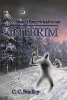 Shadows of Forgotten Memory: Interim