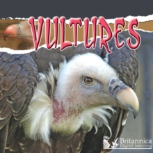 Vultures