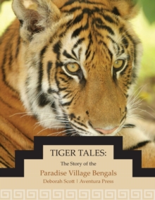 Tiger Tales : The Story of the Paradise Village Bengals