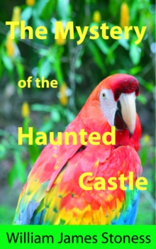 Mystery of the Haunted Castle