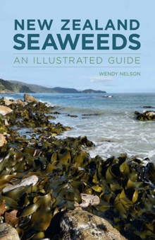 New Zealand Seaweeds: An Illustrated Guide, Paperback / softback Book New Zealand Seaweeds: An Illustrated Guide, Paperback / softback Book