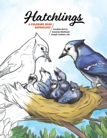 Hatchlings : A Coloring Book Anthology