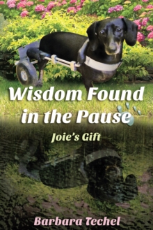 Wisdom Found In The Pause: Joie's Gift