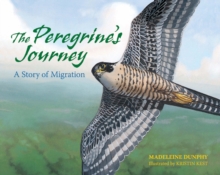 The Peregrine's Journey : A Story of Migration