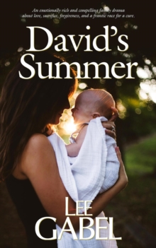 David's Summer