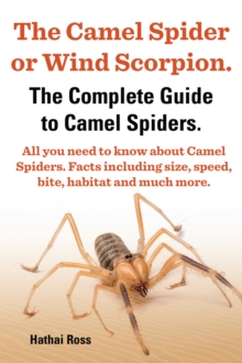 Camel Spider or Wind Scorpion. The Complete Guide to Camel Spiders. All You Need to Know About Camel Spiders. Facts Including Size, Speed, Bite and Habitat.