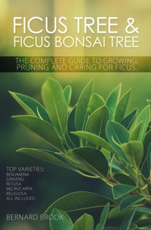 Ficus Tree and Ficus Bonsai Tree. The Complete Guide to Growing, Pruning and Caring for Ficus. Top Varieties : Benjamina, Ginseng, Retusa, Microcarpa, Religiosa all included.