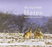 My Year with Hares, Hardback Book My Year with Hares, Hardback Book