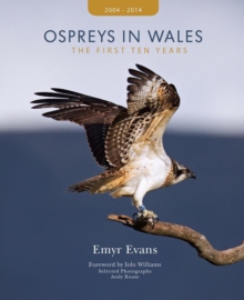 Ospreys in Wales - the First Ten Years, Hardback Book Ospreys in Wales - the First Ten Years, Hardback Book