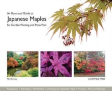 An Illustrated Guide to Japanese Maples for Garden Planting and Patio Pots