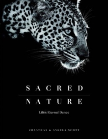 Sacred Nature : Life's Eternal Dance, Hardback Book Sacred Nature : Life's Eternal Dance, Hardback Book