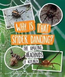 Why Is That Spider Dancing? : The Amazing Arachnids of Aotearoa