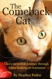 Comeback Cat